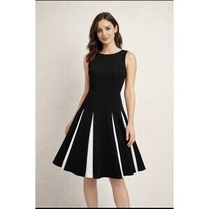White House Black Market Dress Size 00 Black Fit & Flare Pleated White Insets